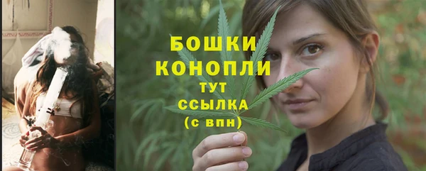 ПСИЛОЦИБИНОВЫЕ ГРИБЫ Балабаново