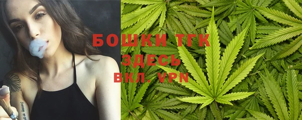 ПСИЛОЦИБИНОВЫЕ ГРИБЫ Балабаново